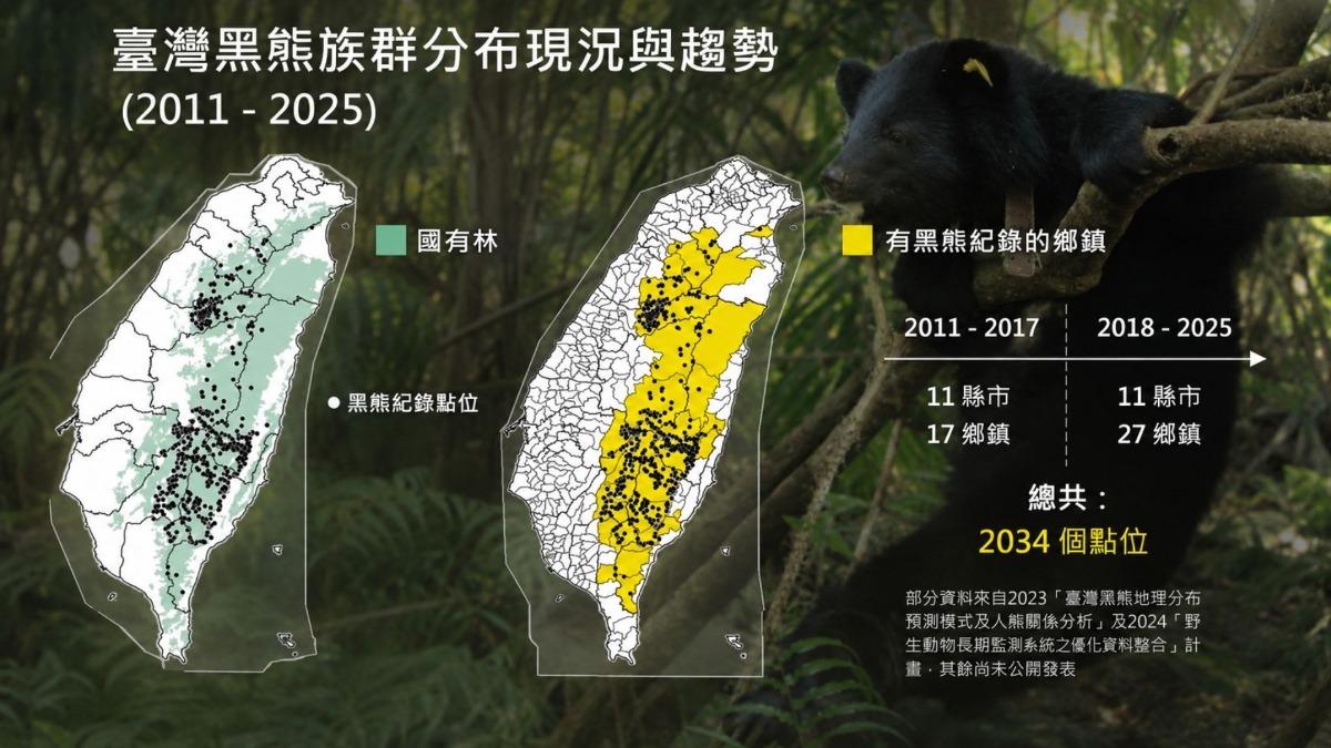 台灣黑熊分布現況與趨勢,明顯發現族群正在擴大。(圖/農業部林業及自然保育署資料提供、chatgpt合成)