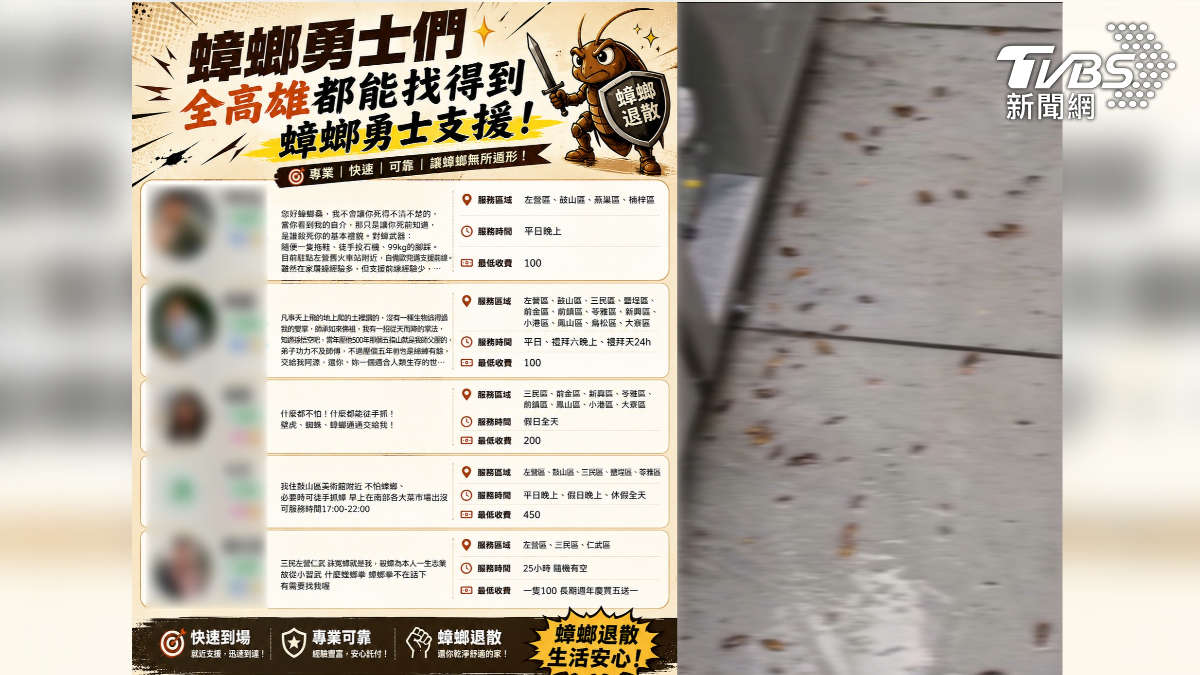 高雄近期出現一個「滅蟑媒合平台」在網路爆紅,民眾家中若突然出現蟑螂,可線上徵求勇士代打,打死一隻小強價格從200元起(圖/TVBS)