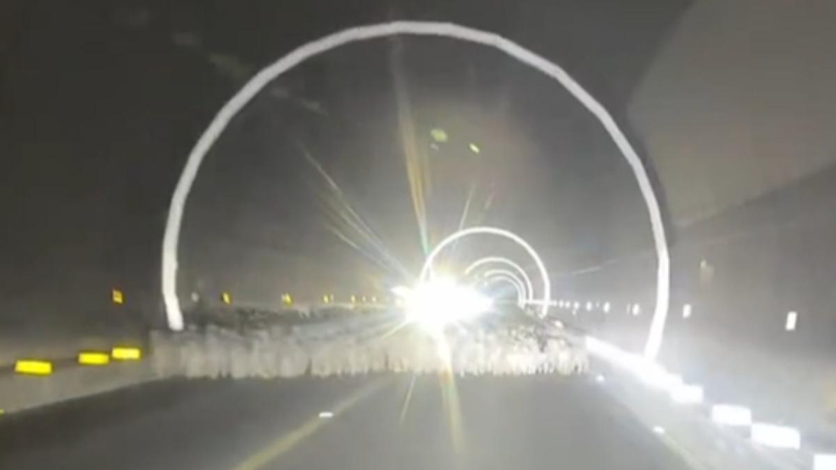 大陸新疆一名女駕駛深夜行經隧道,出隧道後不慎撞上羊群,造成29隻羊死亡。法院最終判決女駕駛須賠償約25萬元台幣,原因在於新疆許多路段屬於法定「牧道」,羊群享有優先路權。(圖/微博)