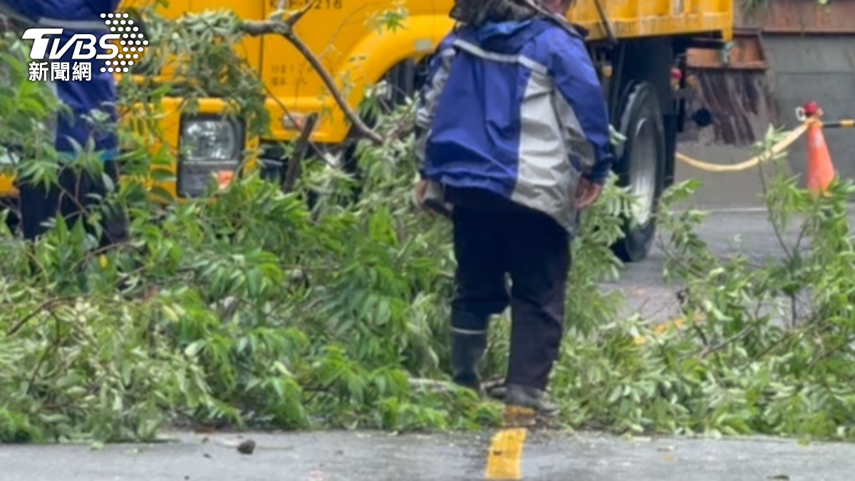台東雲姓男子無照在路肩超速行駛不慎自撞路旁雜木堆，摔車倒地身亡。（示意圖／TVBS）