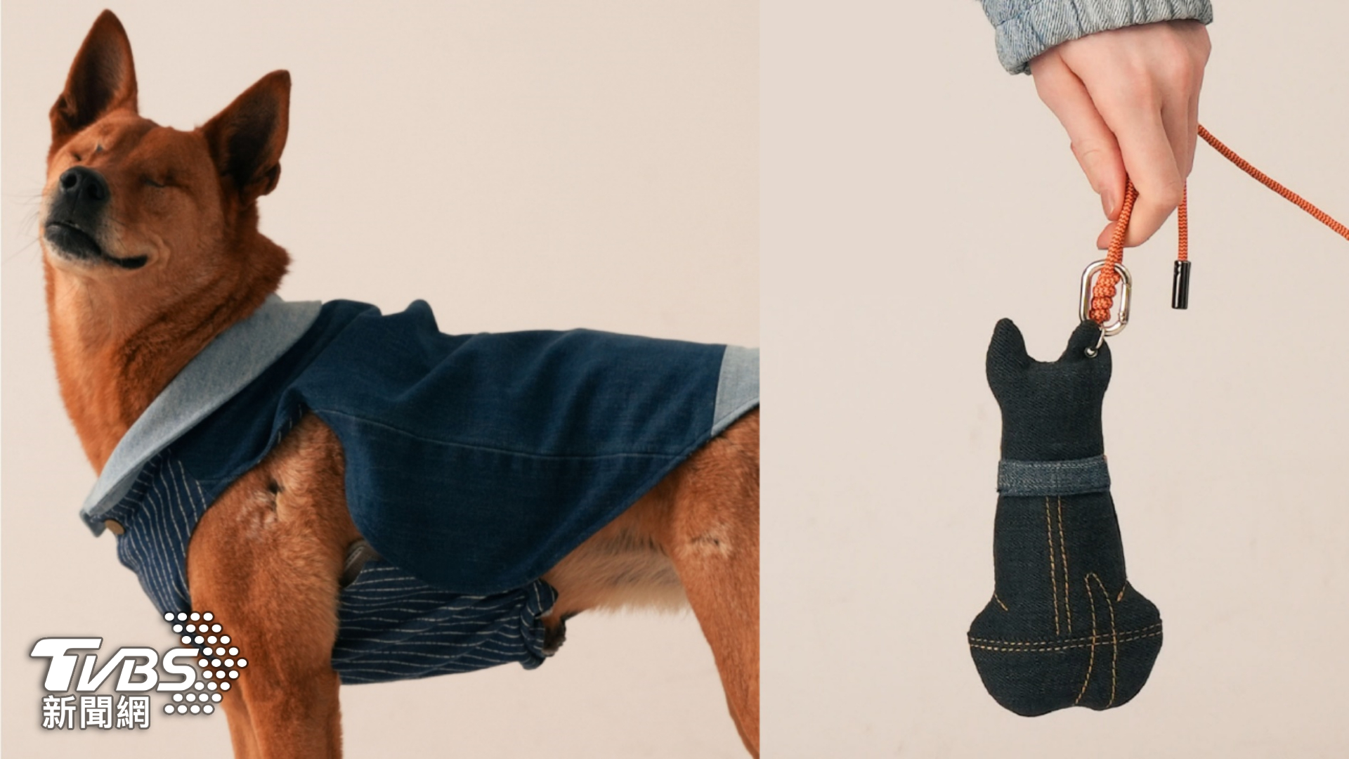 凡購買「國犬故事系列限定商品」,Story Wear將會回捐部分收益給此次的合作夥伴「TSPCA台灣防止虐待動物協會」與「相信動物協會」。(圖片來源:正好公關)