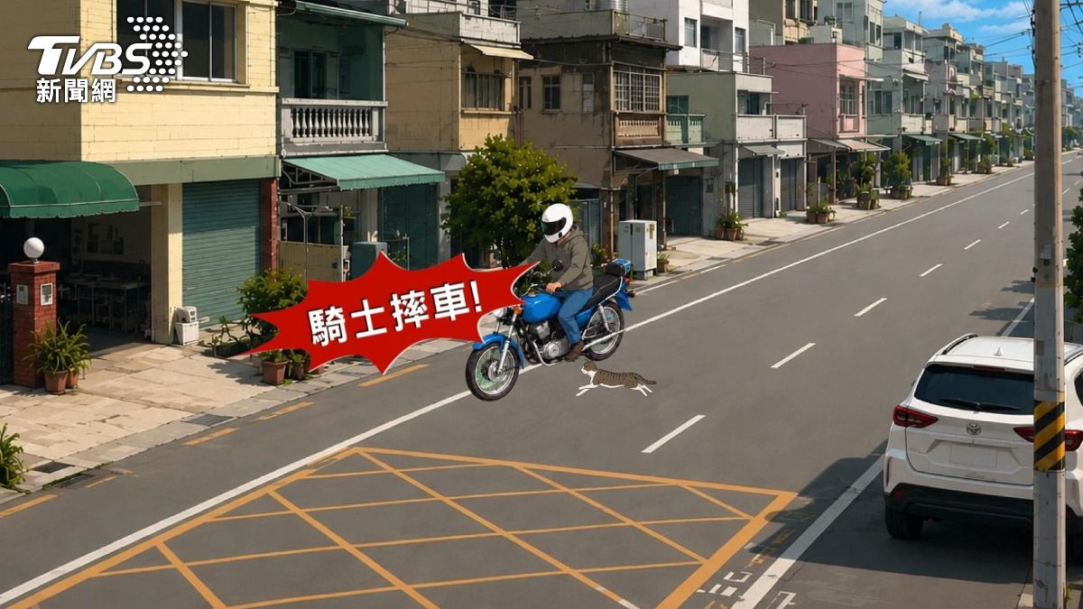 貓咪衝出撞機車！騎士倒地四肢傷，母願賠貓網猜「釣魚」。(圖／TVBS)