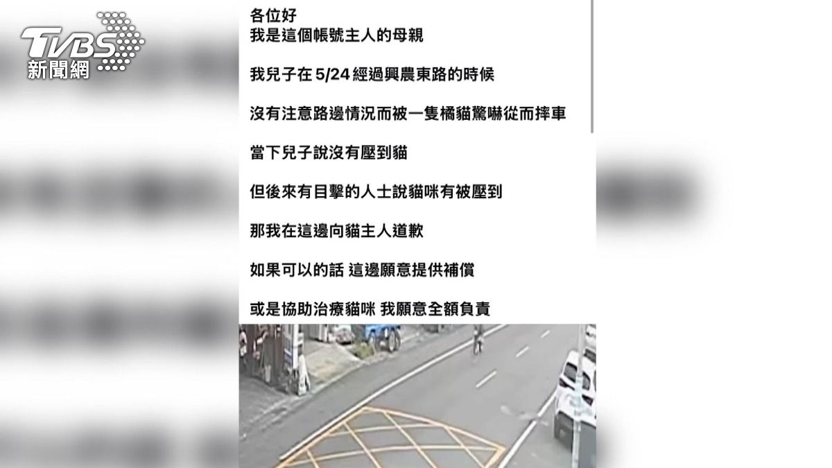 這番發言卻引發網友議論，有人猜測發文要賠貓是為了找出飼主，質疑這是否為「釣魚」的概念。(圖／翻攝網路)