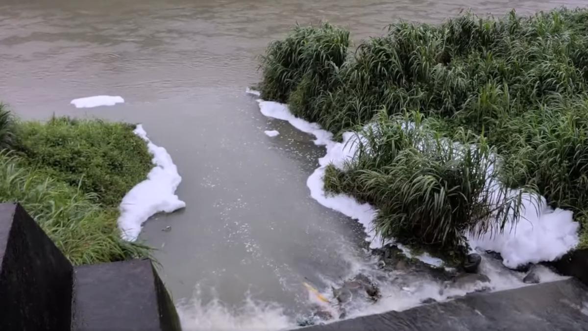 基隆河驚見大量「白色泡沫」!碇內段疑遭汙染 基隆市府回應了