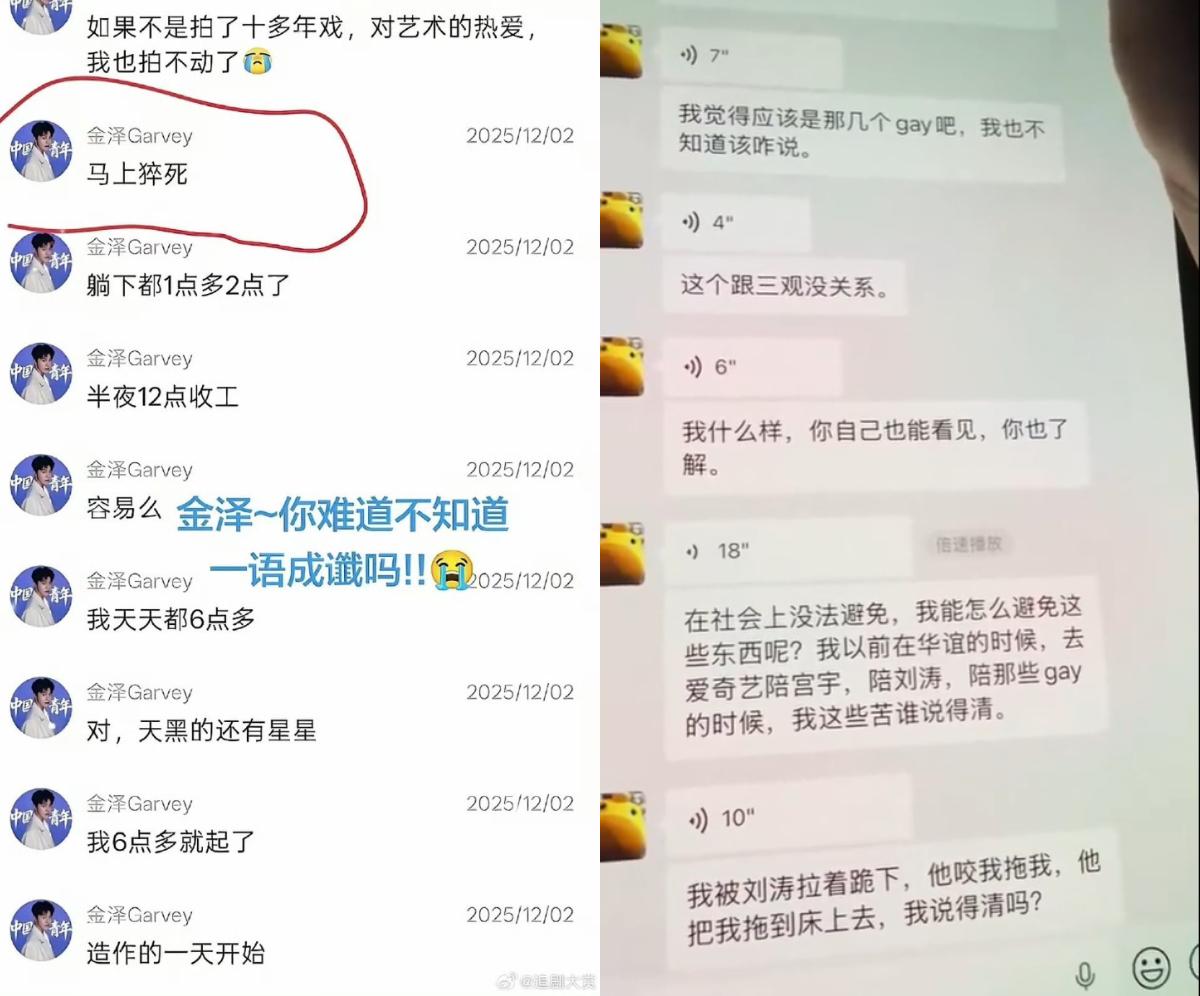 金澤生前對話截圖被公開,在陸網掀起軒然大波。(圖/翻攝自微博)