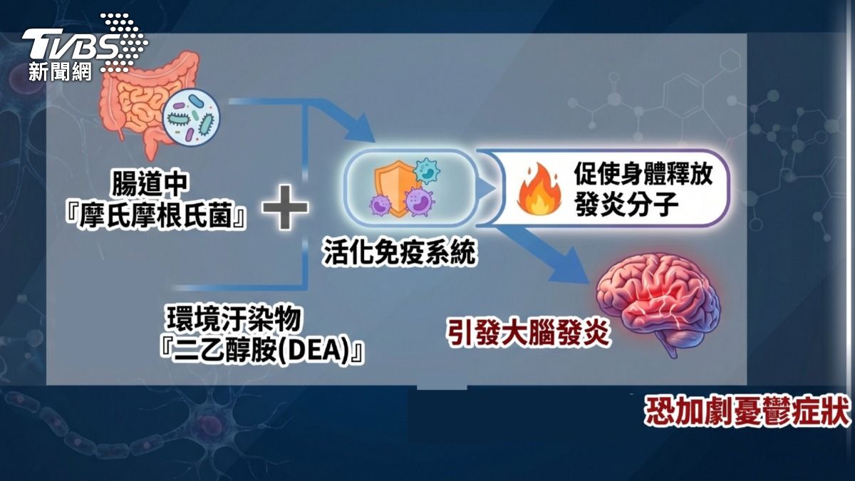 憂鬱可能與腸道發炎有關。(圖/TVBS)