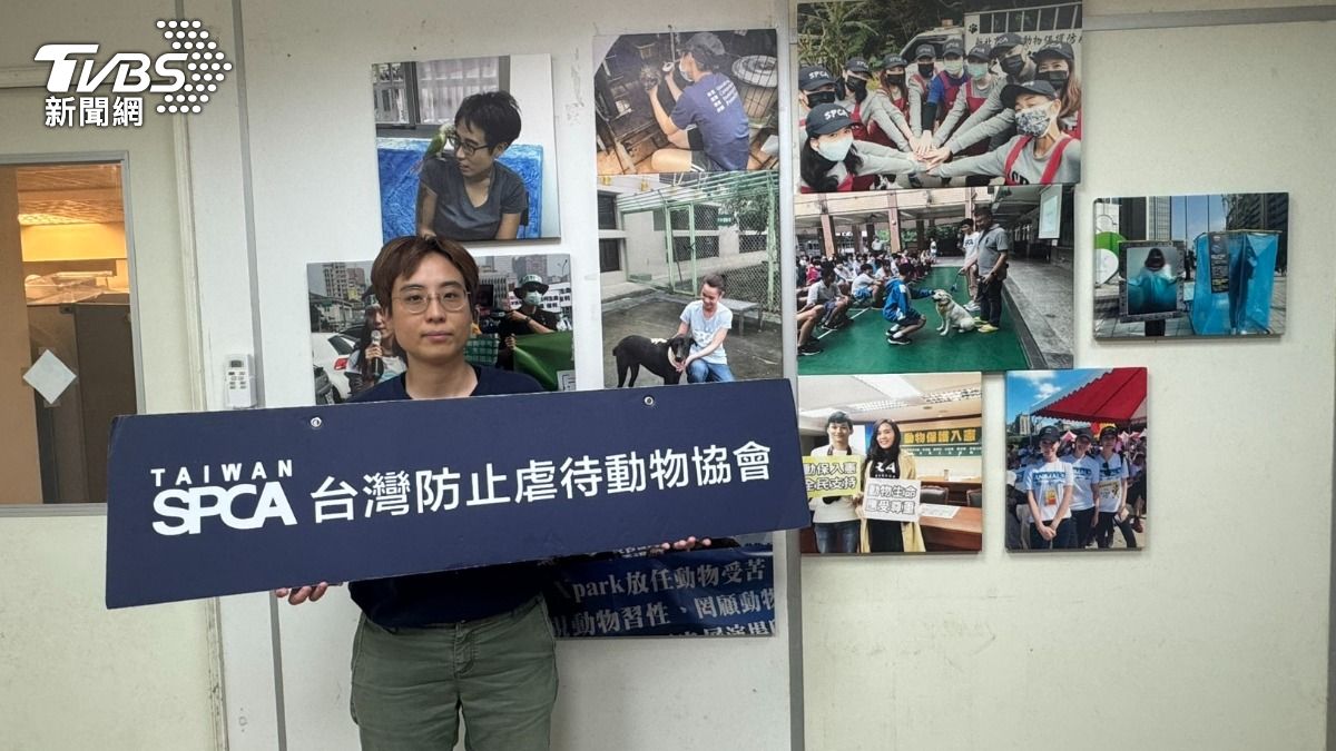 台灣防止虐待動物協會(TSPCA)調查部門主任尤盈之。(圖/林雅婷攝)