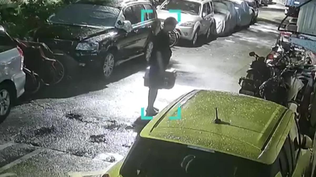 在台北士林區，街坊住戶共同養了14年的流浪貓，被一名陌生男子收編。（圖／翻攝靠北天母幫FB）