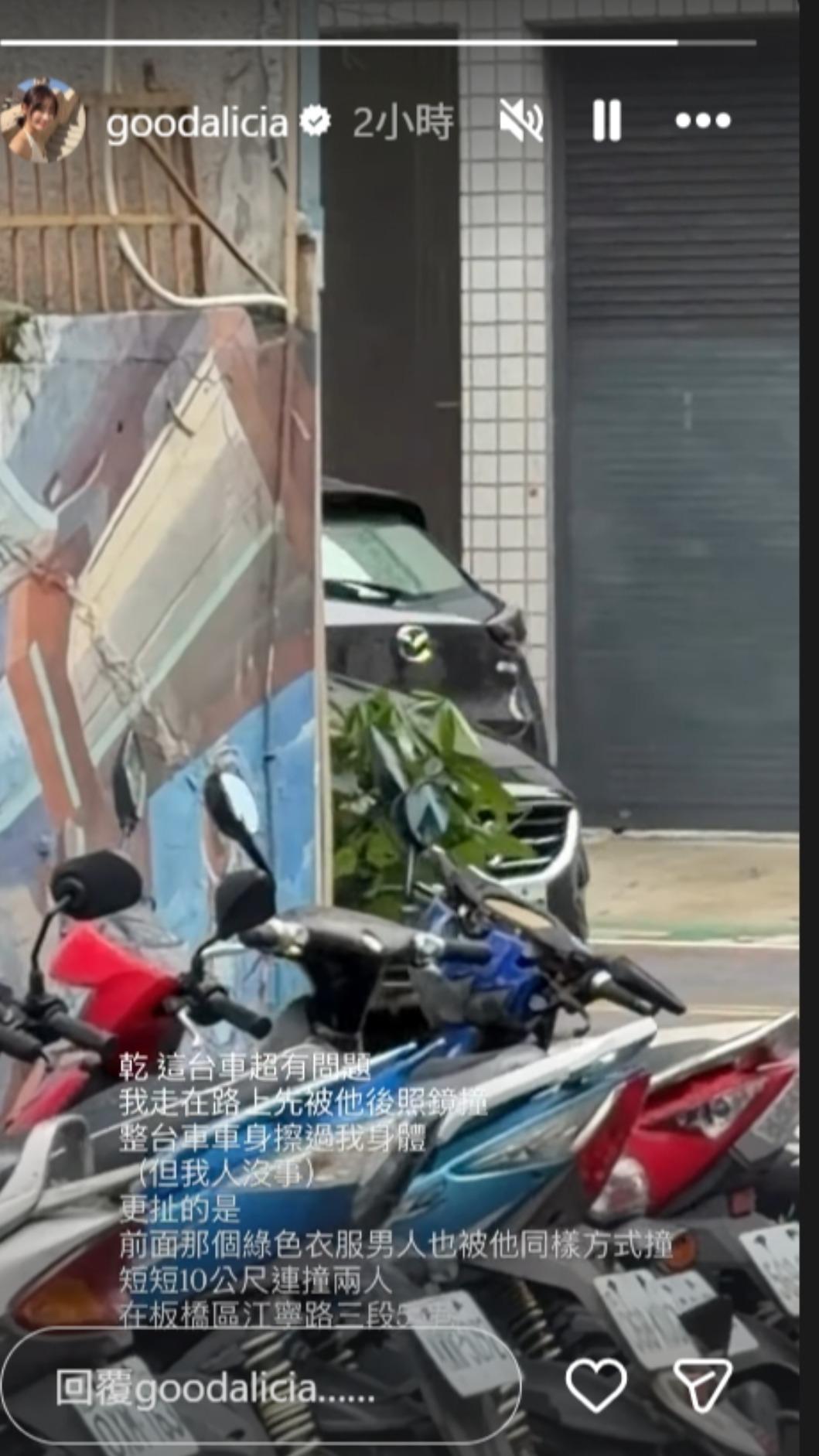 愛莉莎莎不忍了,開罵肇事駕駛。(圖/翻攝自IG)