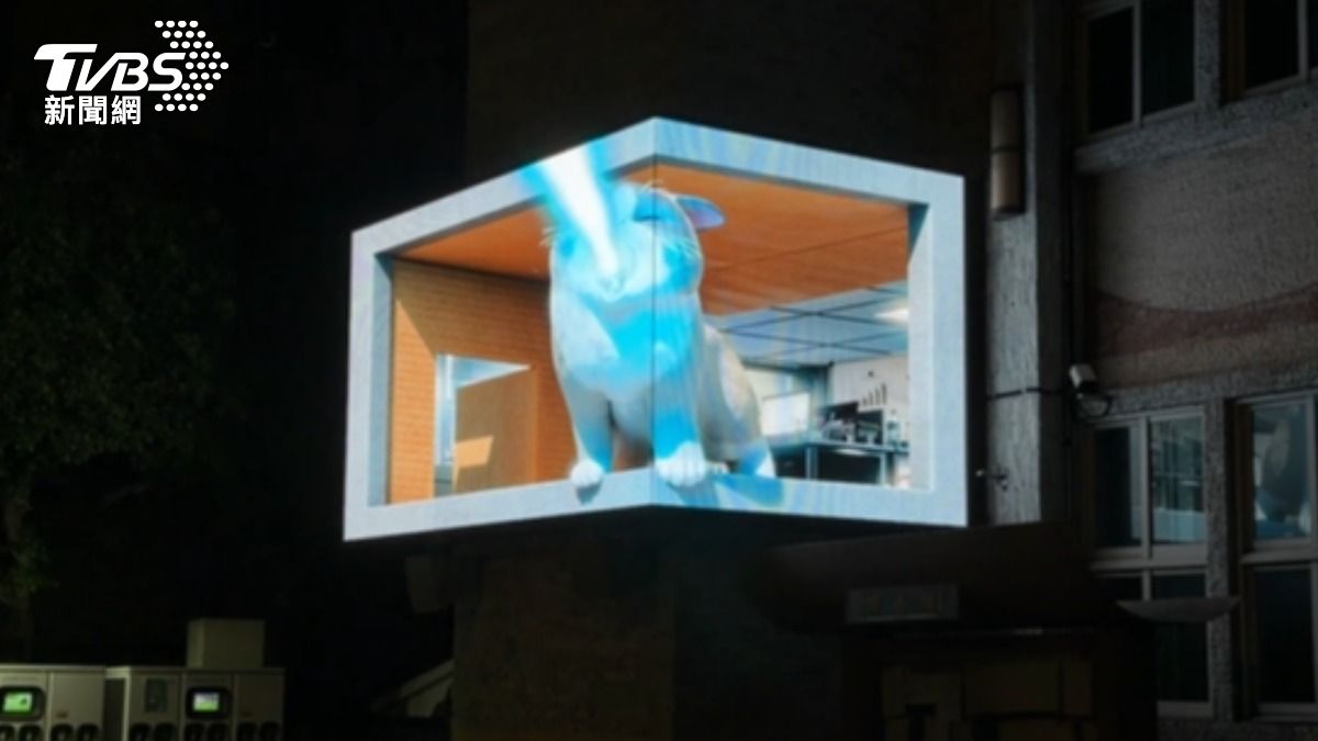 巨貓街頭賣萌噴雷射光，300萬裸視3D牆超吸睛。（圖／TVBS）