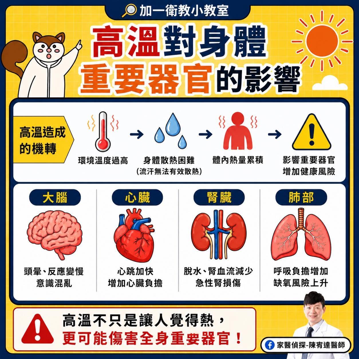 高溫對身體器官所造成的影響。(圖/翻攝自家醫偵探_陳宥達醫師FB)