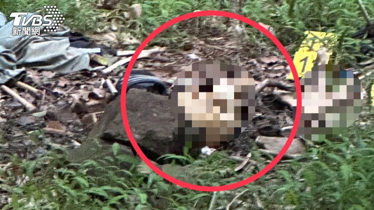快訊／六龜內英山步道驚見「白骨頭顱」　林間遺骸散落一地