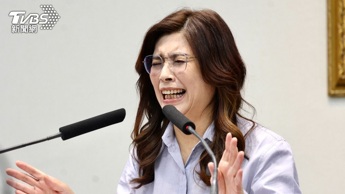 打槍鞭刑公投 鄭麗文喊推「重啟核電」:否則黨不成黨