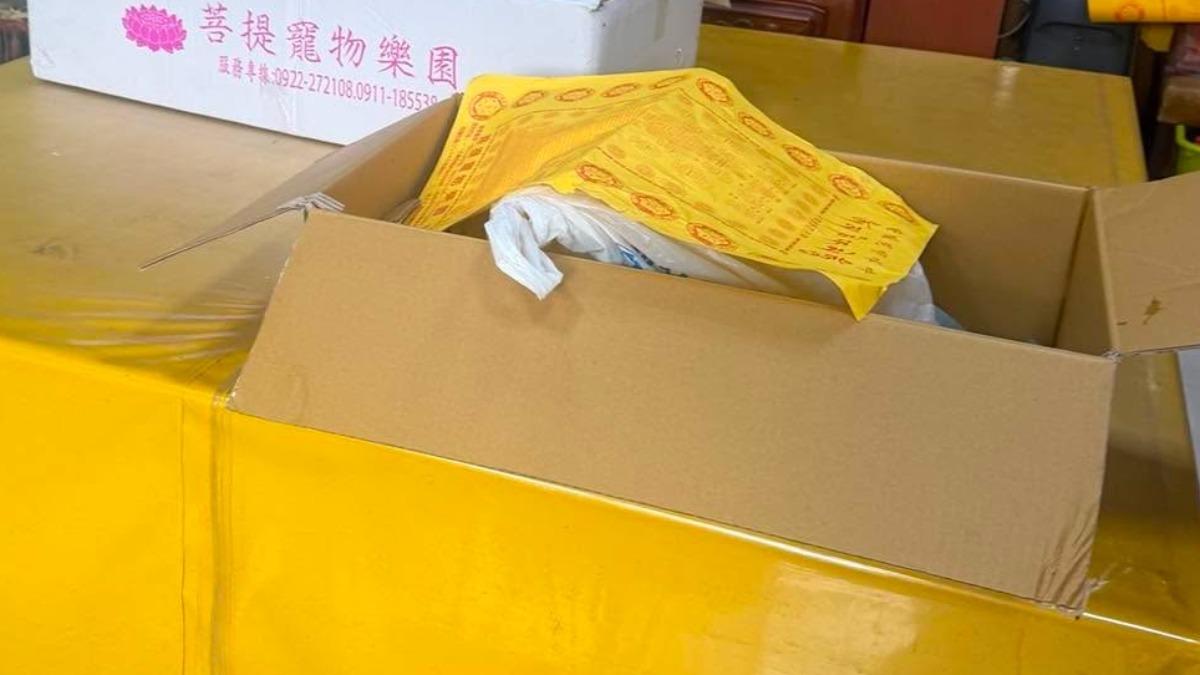 「貝果」最終在缺乏糧食與避雨處的環境下淒慘斷氣。（圖／民眾鄭先生提供）