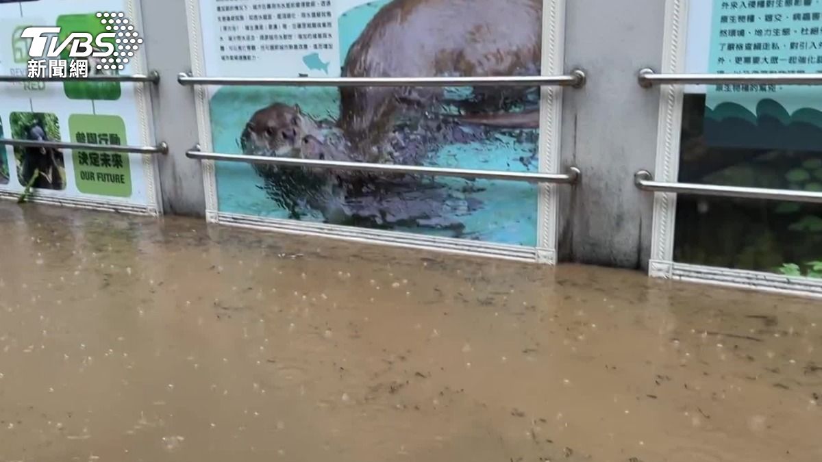 北市動物園經歷17號的午後大雨，教育中心的B1遭到積水滲入。（圖／TVBS）