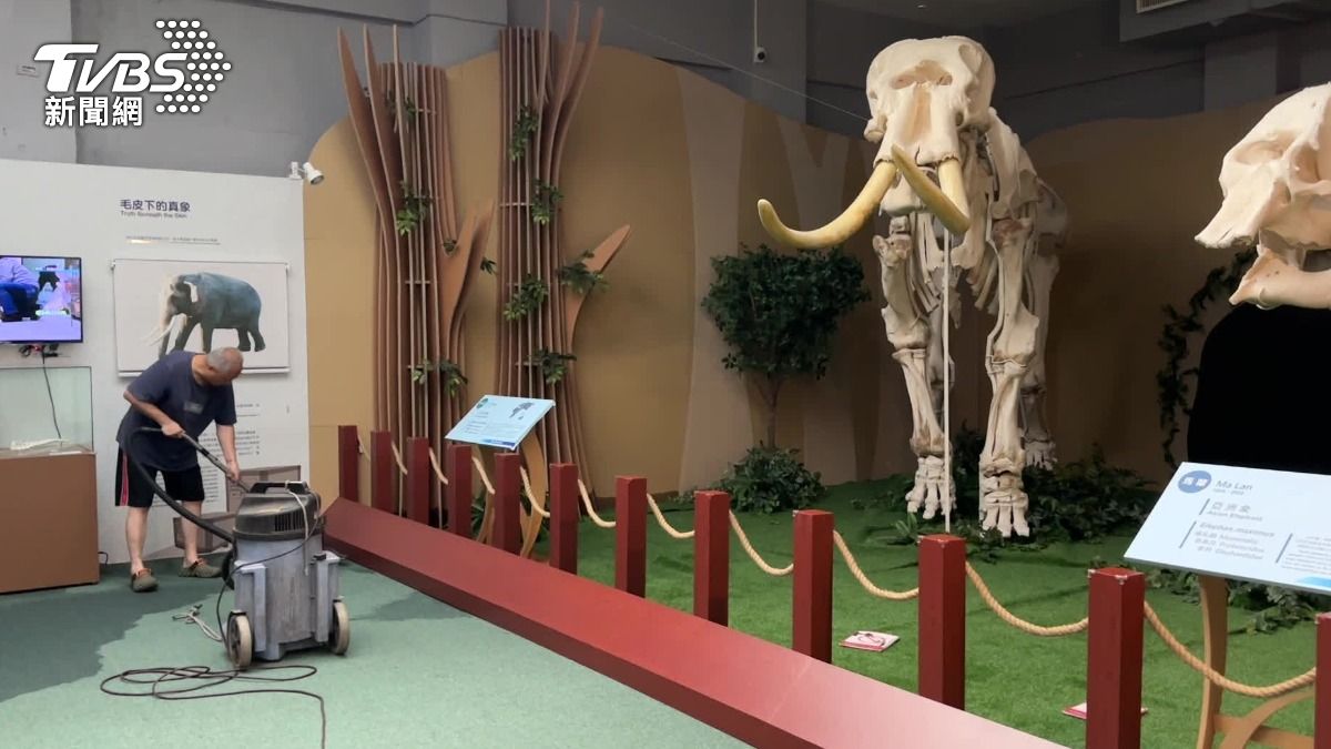 北市動物園擺放林旺標本的展間,第一次遇到有雨水滲入的狀況,必須暫停開放。(圖/TVBS)