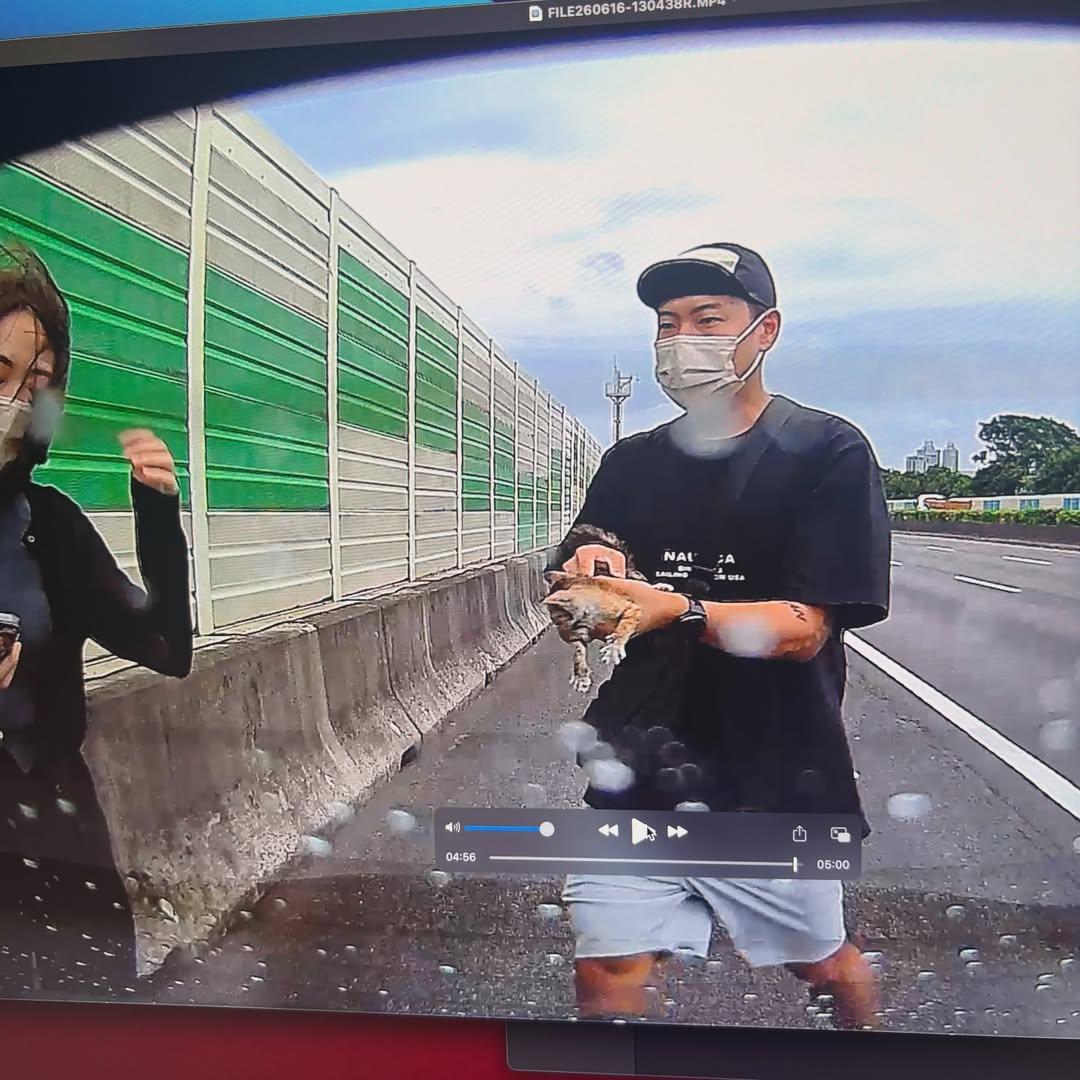 洋蔥國道上救貓。(圖/翻攝自IG@911_onion)