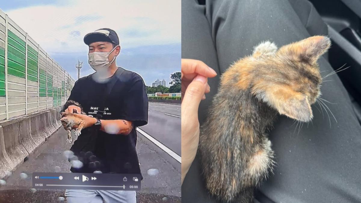 國道驚見小貓奄奄一息!玖壹壹洋蔥急停路肩救援 暖舉被讚爆