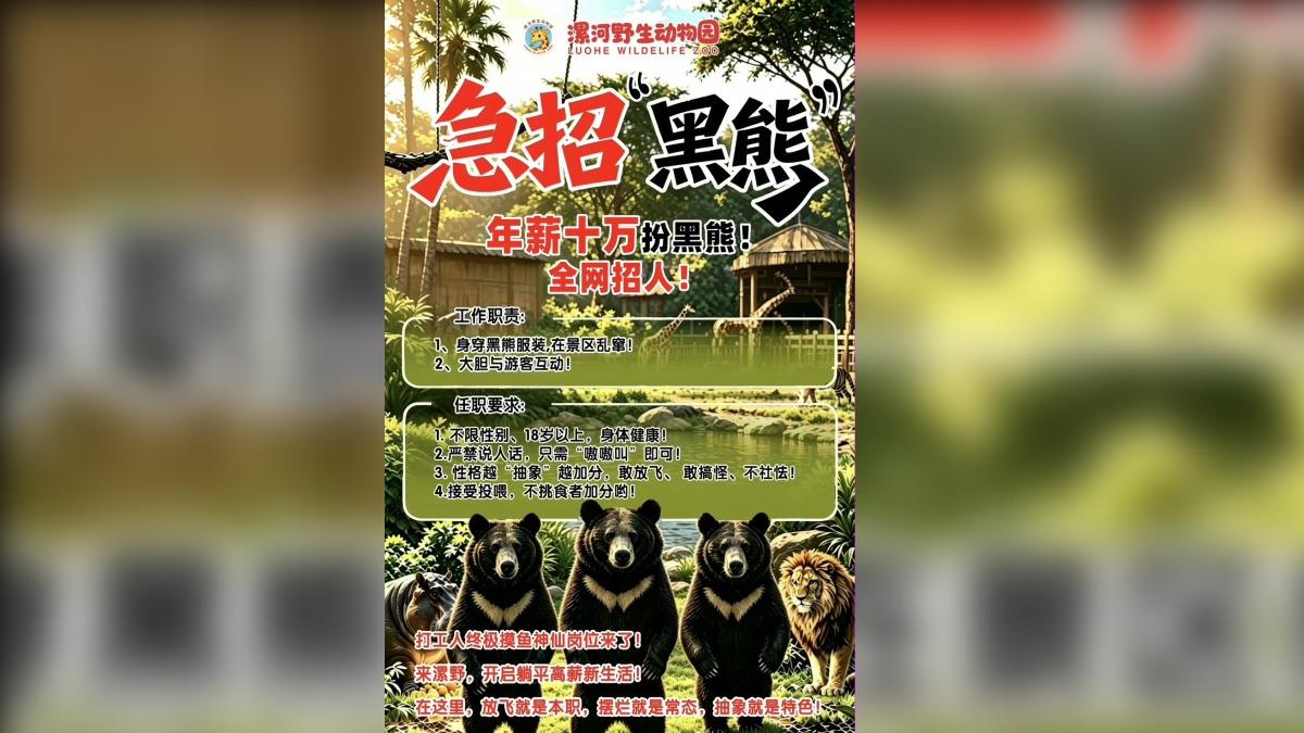 大陸漯河野生動物園的「黑熊徵才」引起討論。（圖／翻攝自微博）