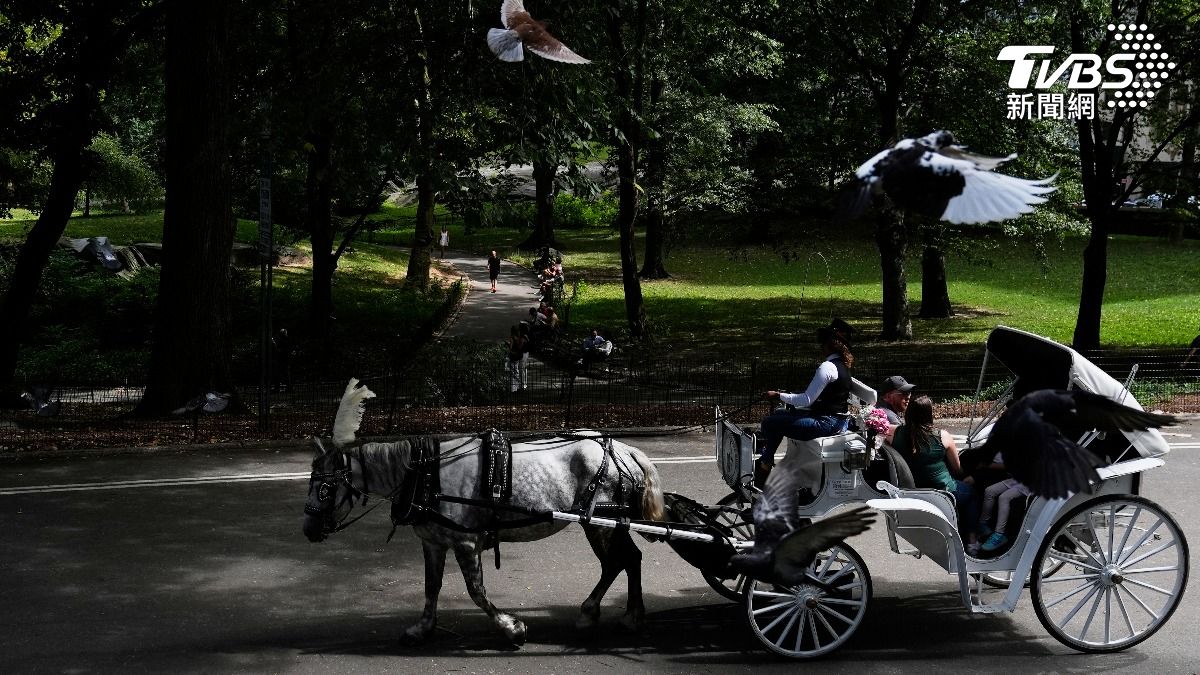 家族旅遊成永別!紐約中央公園馬車失控 18歲少年為救母墜地亡