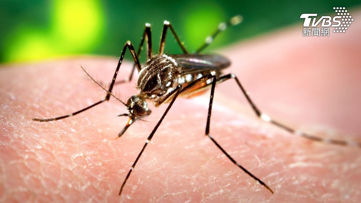 蚊子最愛叮哪種人？研究曝「愛喝酒該注意」　防蚊液恐變誘因