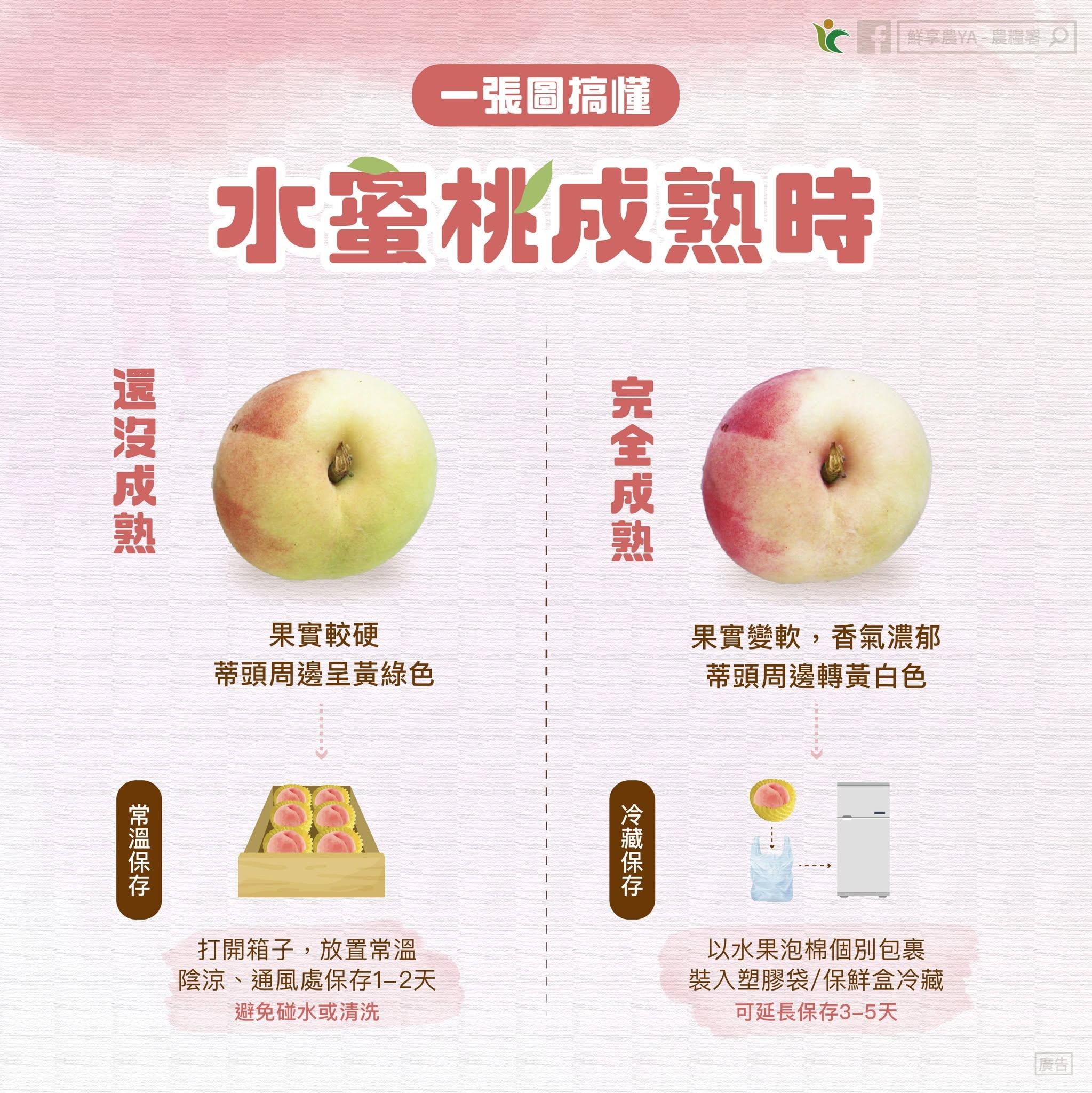 農糧署建議,等水蜜桃成熟後再放進冰箱。(圖/翻攝自鮮享農YA - 農糧署臉書)