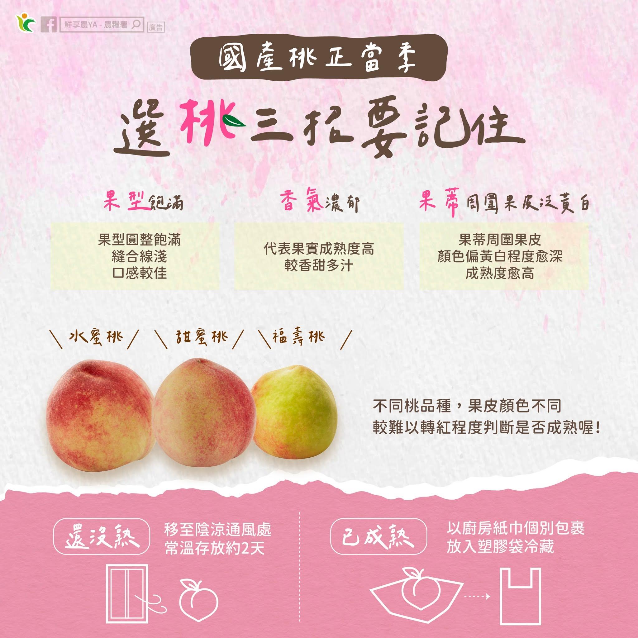 農糧署指出,水蜜桃挑選關鍵。(圖/翻攝自鮮享農YA - 農糧署臉書)