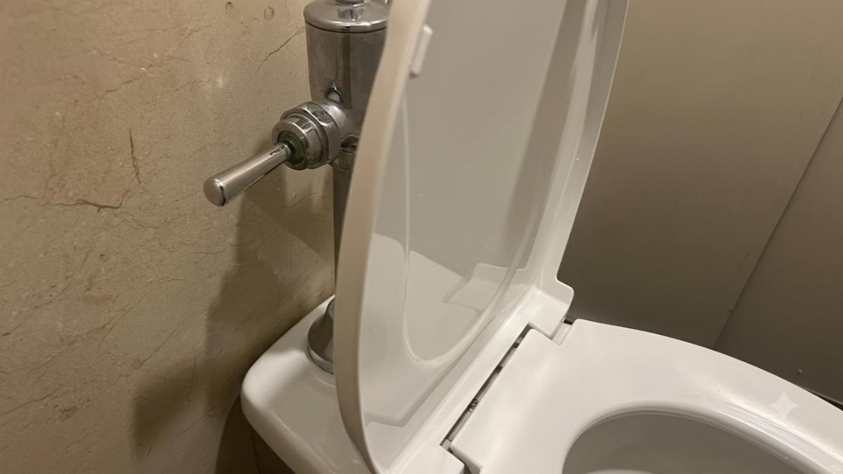 日本衛浴品牌TOTO指出，壓桿式沖水閥若經常承受腳部踢踏，容易導致受損。（示意圖／AI生成）