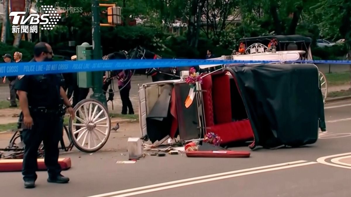 紐約中央公園一匹馬車馬匹失控衝出,造成一名來自印度的18歲少年死亡。(圖/達志影像美聯社)