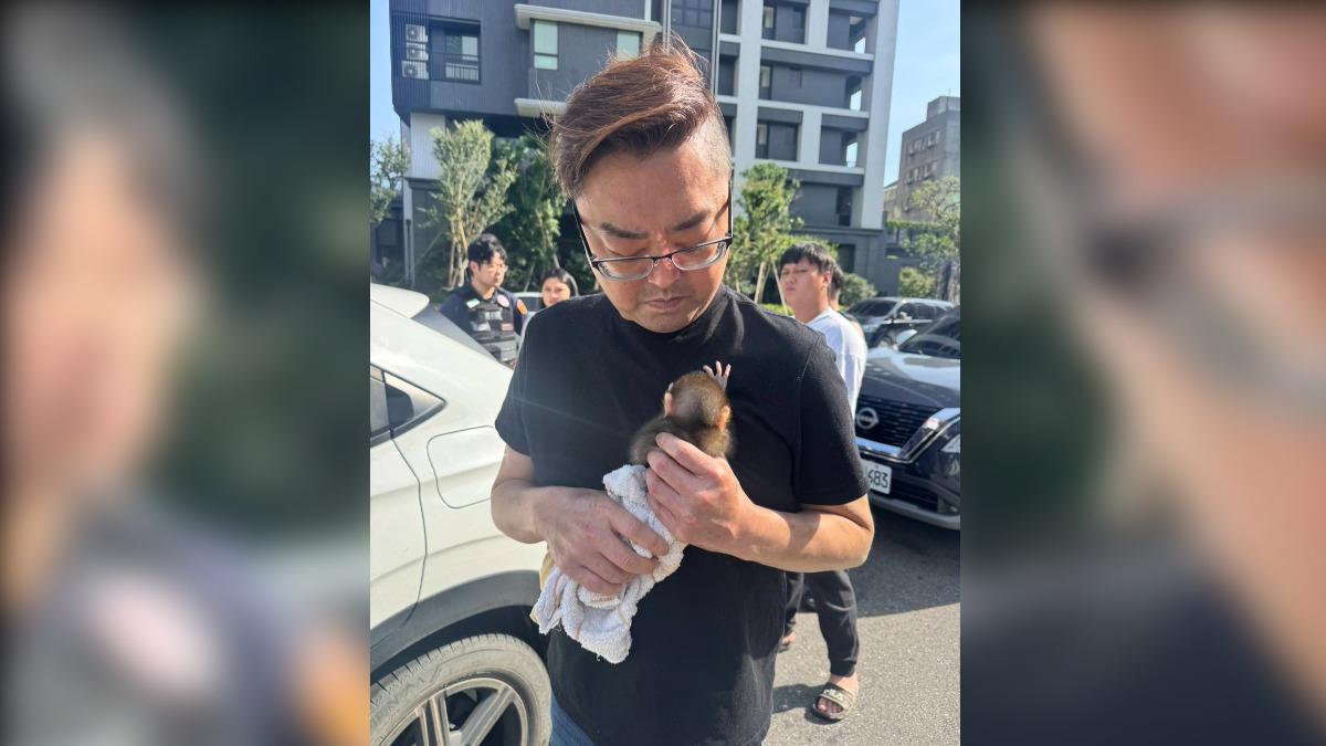 小小獼猴被找到後,送往流浪動物珍愛協會安置。(圖/朱健銘議員提供)