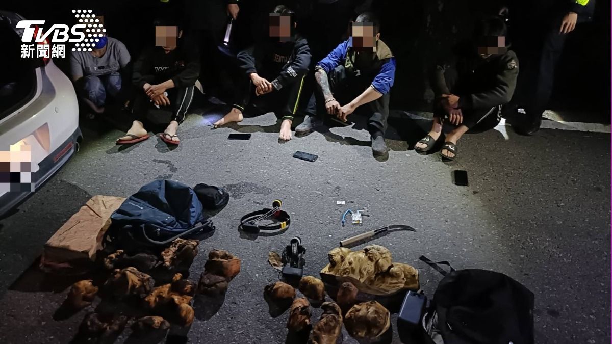 黑金神木5/山老鼠版圖大洗牌!越南逃逸移工佔8成 檢舉最高賺500萬