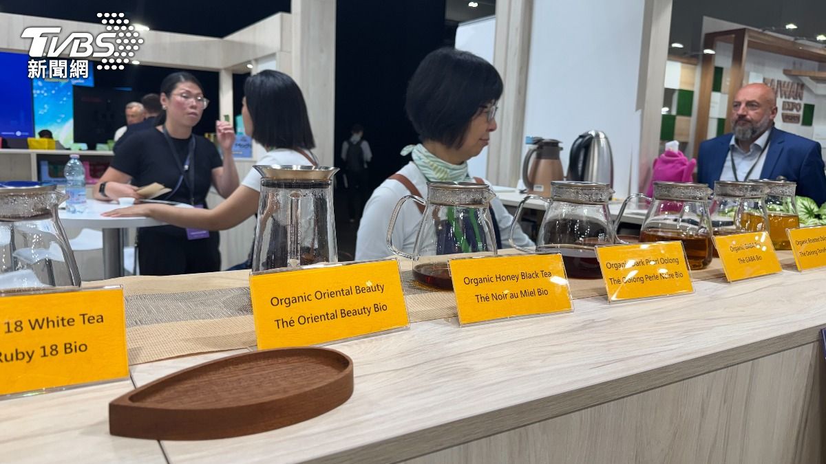 聖琪國際集團擁有全台最大「歐盟有機驗證」茶園,準備進軍東歐市場。(圖/謝佩穎攝)