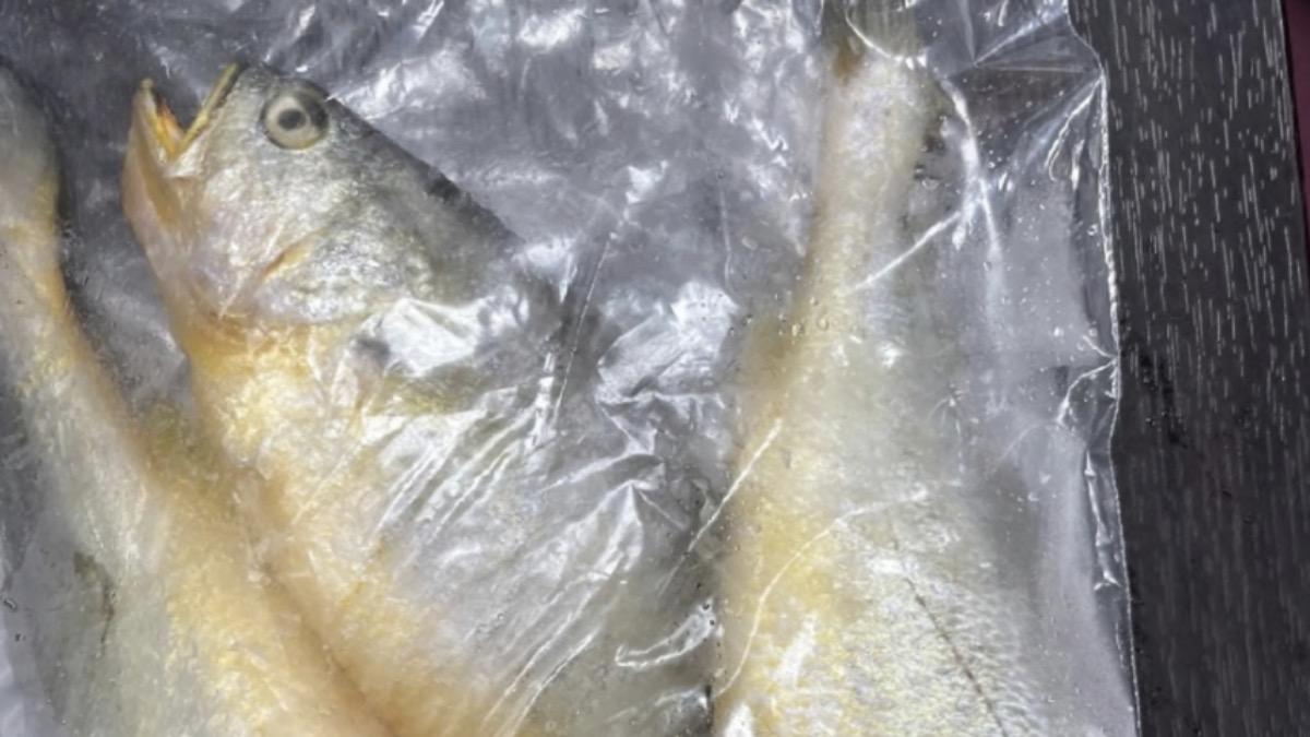 中國進口黃花魚檢出禁藥，全數退運。（圖／食藥署提供）