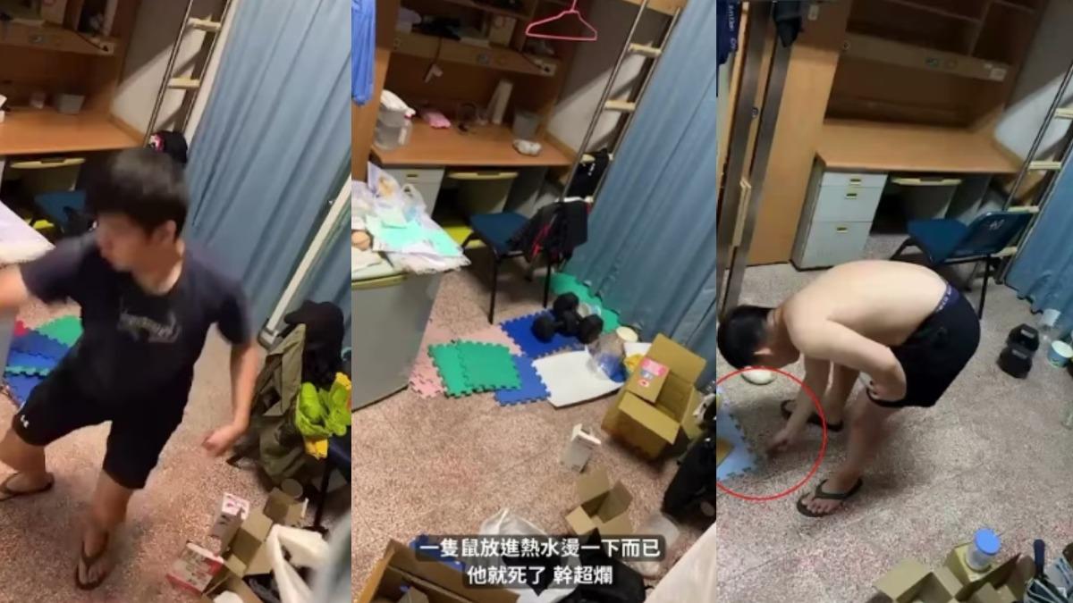 酒精點火、竹籤穿肚!高雄男大生虐殺40倉鼠 冷血喊:會痛嗎