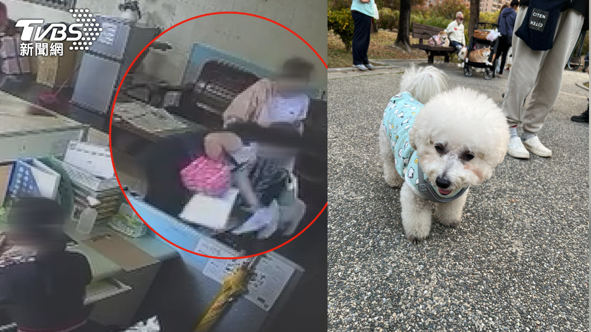 高雄鼓山區一處大樓22日上午發生住戶糾紛,比熊犬搭電梯引糾紛!鄰居嫌沒抱起 出電梯「持傘狂追」(圖/TVBS)