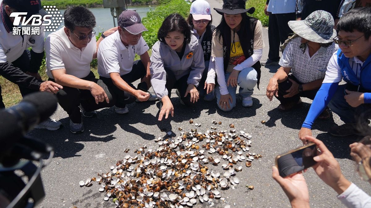 漁民相當痛心。(圖/TVBS)