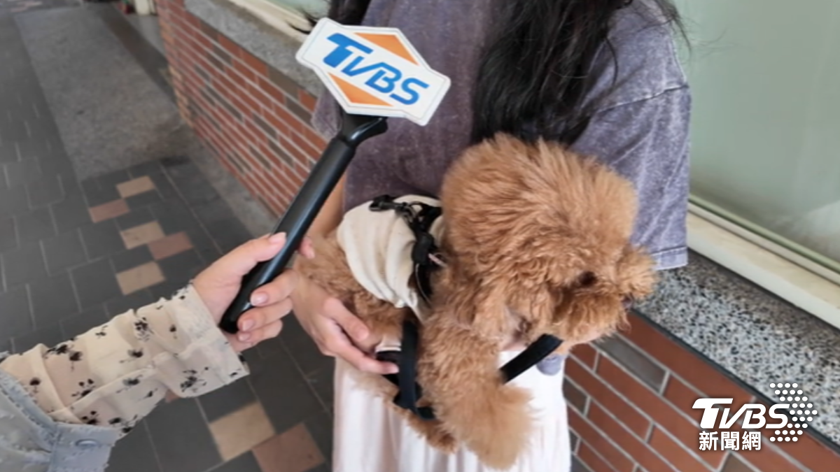 不只狗狗被罵,飼主表示,同行友人也被罵髒話。(圖/TVBS)