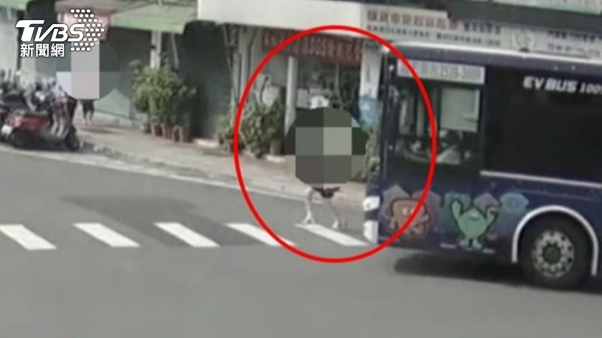 余姓婦人被撞倒後受困車底,最終送醫不治。(圖/TVBS)