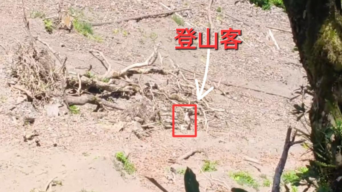 受困70公尺深邊坡下方,警消架繩攀救完成任務。(圖/警方提供)