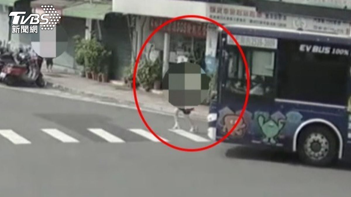 母跑市場幫拉票遭公車撞輾亡 新北市議員參選人周韋翰悲慟發聲
