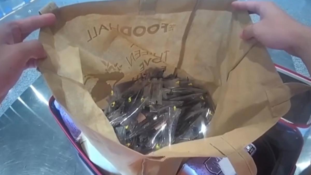 男子在行李箱內裝兩袋甲蟲企圖闖關。（圖／海巡署金馬澎分署提供）