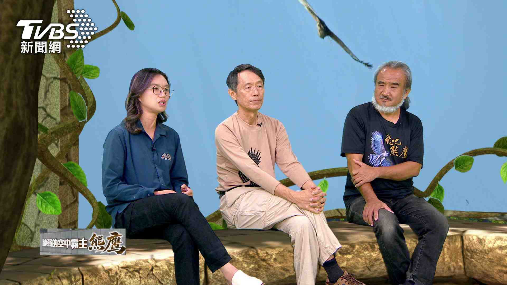 《脆弱的空中霸主 熊鷹-守護者的雲端對話》網路節目，從生態研究、文化傳承到保育挑戰等面向，帶領觀眾深入認識夢幻物種熊鷹，也首度揭開研究人員與拍攝團隊深入險峻山區，追尋珍貴影像的幕後歷程。圖/TVBS