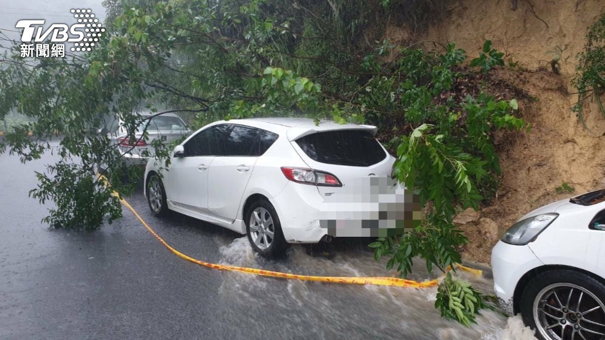 大雨襲雙北!北市內湖邊坡樹木滑落 轎車慘遭蓋頂