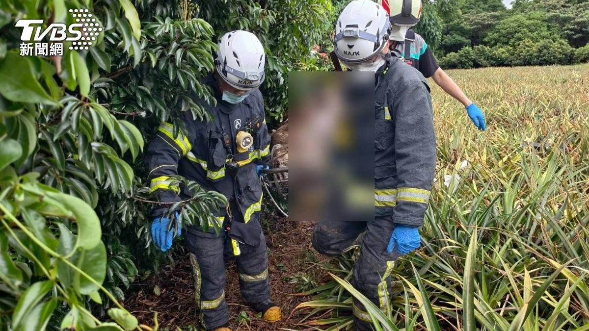 快訊/彰化荔枝園保鮮膜無名屍為女性 遺體已蠟化涉案男遭拘提