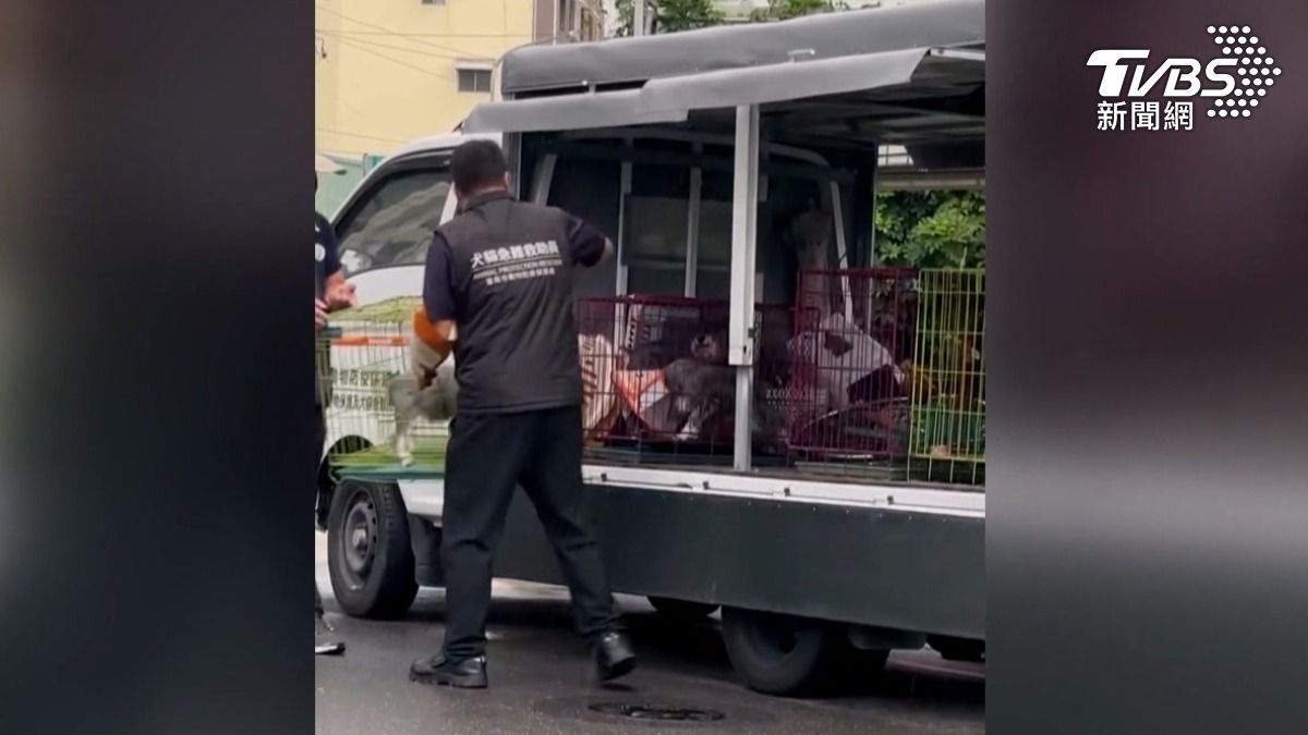 李姓男子所飼養的貓狗被動保處帶回安置。(圖/TVBS)