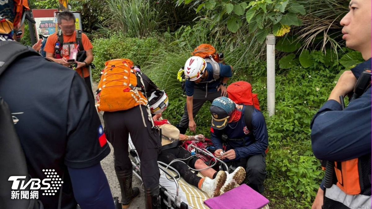 快訊/新北貢寮30人登山團遇蜂群 4人遭螫傷急送醫