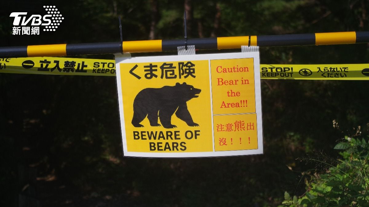 日男入山採竹筍失蹤!警方出動直升機驚見「野熊啃食人形物」