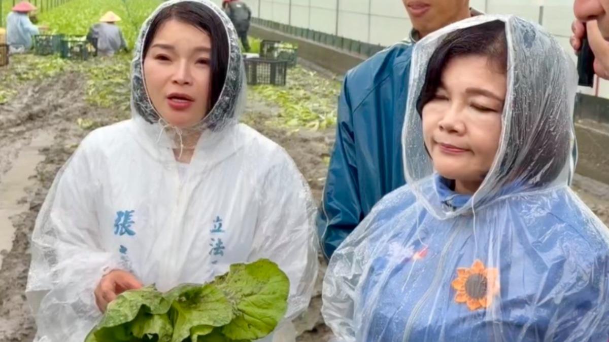 暴雨重創雲林!張嘉郡:爭取天然災害補助 改善排水灌溉系統