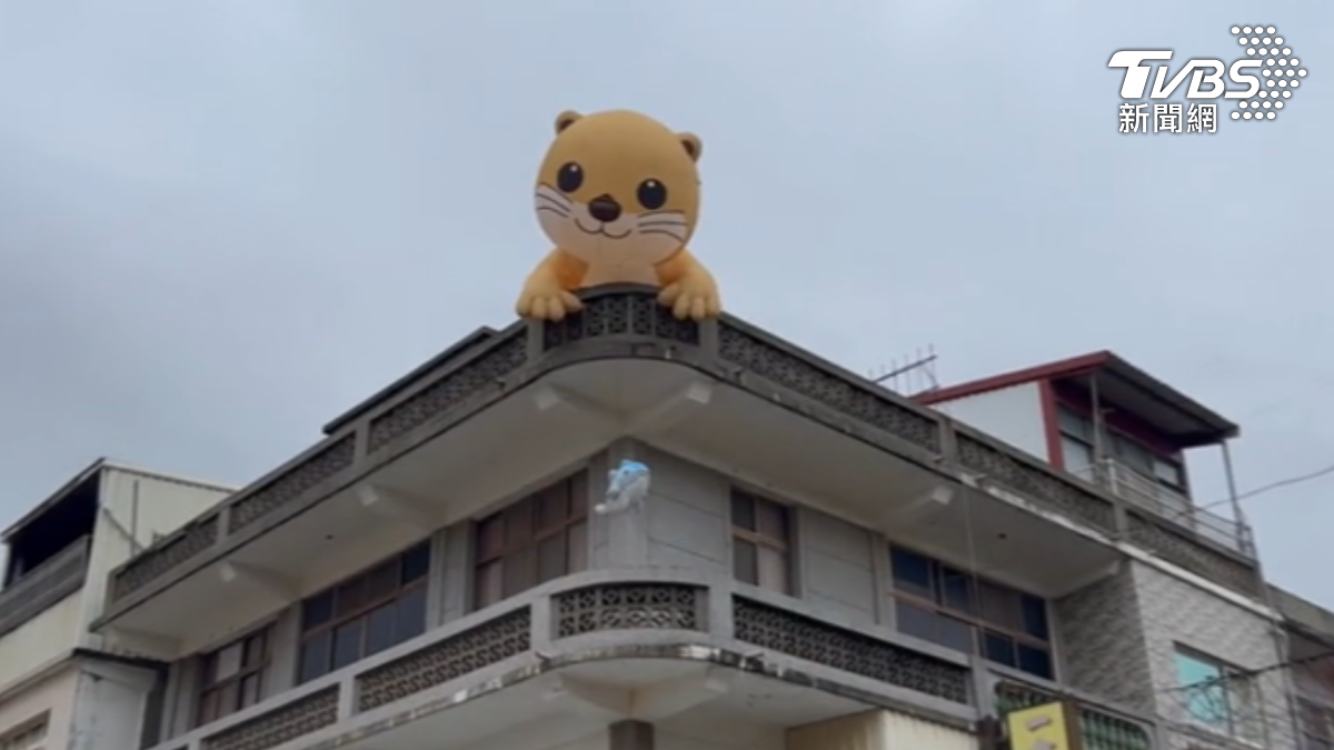 影音／金門暑假新亮點！巨型水獺、風獅爺「攻佔屋頂」夜間點燈超夢幻