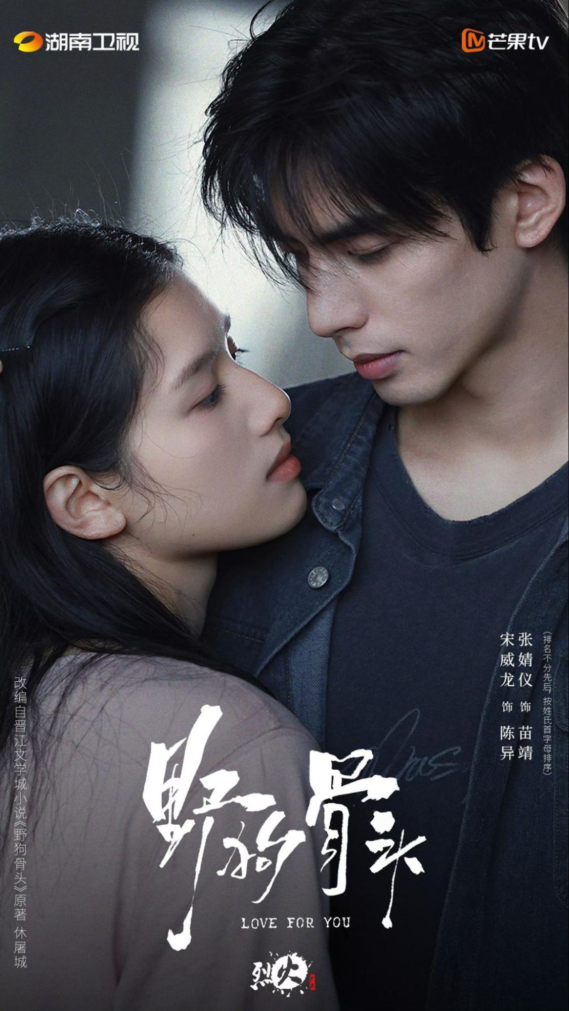 野狗骨頭-宋威龍張婧儀-現代愛情劇-破裂家庭救贖